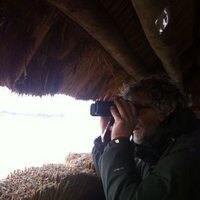 aaltfelix (@aaltfelix) 's Twitter Profile