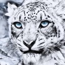 Daniel Kuhl - @dk_zwitschert - Twitter