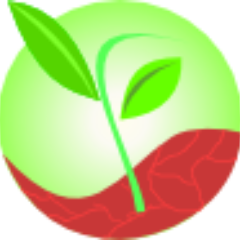 proyectoinnova's profile picture. 