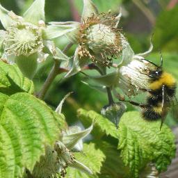 Foodnpeople's profile picture. People, food and stuff