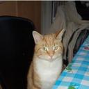 Petra Post - @pe_post - Twitter