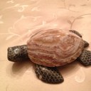 Lisa Bigler - @bigler_e - Twitter