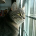Kimberly Christianson Kennedy (@kimberchristi) Twitter profile photo