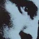 bernardo becker - @bernardo62 - Twitter