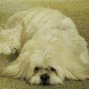 Erika Proctor - @ErikaMason - Twitter