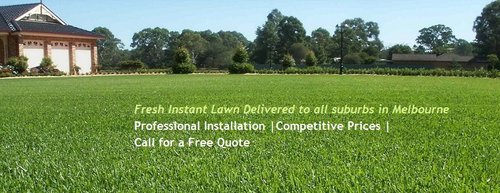 Fresh Instant Lawn Delivered To All Suburbs In Melbourne