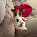 Jo Kirk - @mformum12 - Twitter