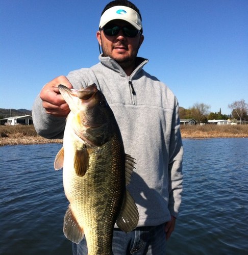 bmd1003's profile picture. 