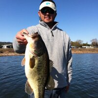 Brandon Domangue (@bmd1003) 's Twitter Profile