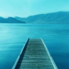 zchesze's profile picture. 