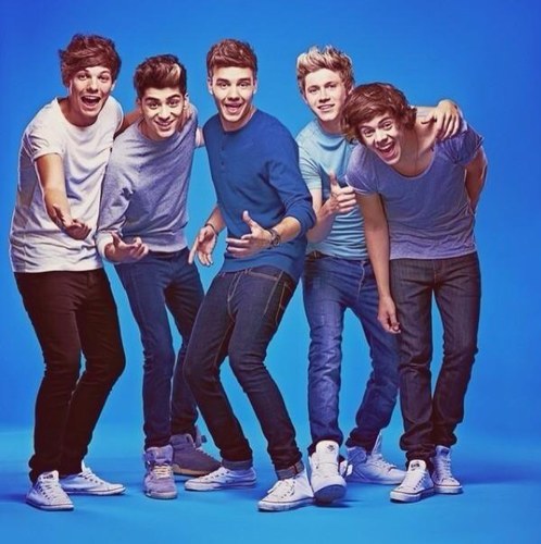 If anyone wanted to know my username stands for Louis William Tomlinson, Liam James Payne, Niall James Horan, Zayn Jawaad Malik, and Harry Edward Styles