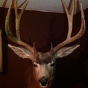 Sean Clay - @sclay_sean - Twitter