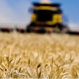 WDLewisCo's profile picture. W D Lewis & Co is a family owned business. We were established in 1954, and have provided farmers with service, parts, and machinery over those last 6 decades.