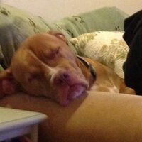 Mari LoNano (@mlonano) 's Twitter Profile