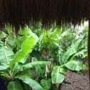 Sue parry - @parry_sue - Twitter