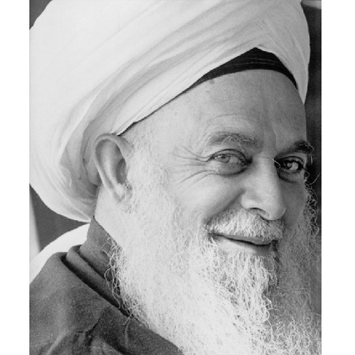 Quotes from Maulana Sheikh Muhammad Nazim Adil al-Qubrusi, the 40. Sheikh of the Naqshbandi-Haqqani Sufi Order