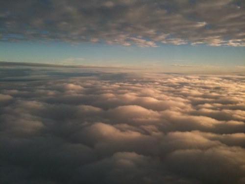 LitaNorman's profile picture. 