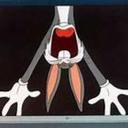 Tammy Camden - @Tammy_Tcl - Twitter