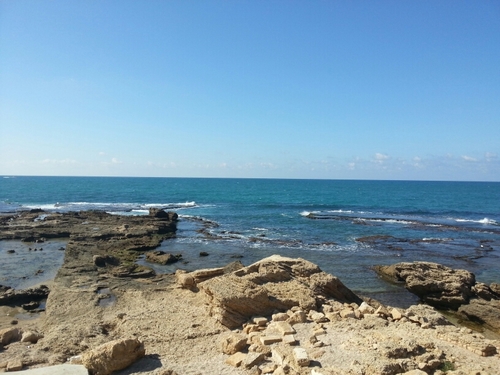 udim80's profile picture. 