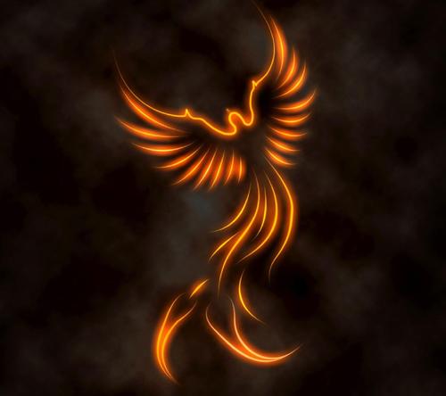 meme2198's profile picture. 