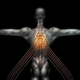 I've been TOOLIFIED so much so I had to create a twit page to show how dedicated I am to saying thank you to everybody who made TOOL possible. #Thankyou
