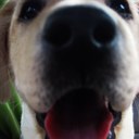 Louise Pierre - @TheFrenchLouise - Twitter