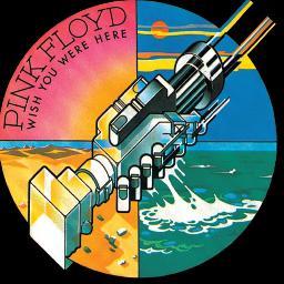 seysmoll's profile picture. Политика, бизнес, Rock n Roll