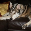 Scarlet Malone - @ScarMal - Twitter