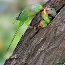 كمال العوادي - @Kamal1977Said - Twitter