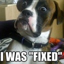 Christopher Kamm - @Ironball_Chris - Twitter