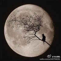王小二 (@9202199) 's Twitter Profile