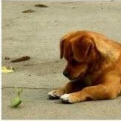 初めましての方ははじめまして！パタコです！ダンスをずっとやってましたが、引退して今は高校までやってたバスケを再開しました☆  実はお酒が好きで、いろいろと調べるのが趣味なので、ここでそういった情報を発信していけたらと思います（≧∇≦）皆様よろしくお願いします！