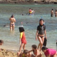 toastdeluxe00's profile picture. General wunderkind