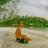 tarasich100's profile image