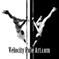 Velocity Pole Art (@velocitypoleart) 's Twitter Profile
