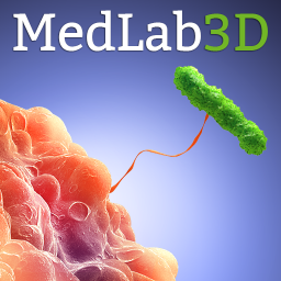 Professional freelancing team on medical animation in 3D, for education, commercial and documentary.