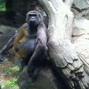 ROBERT RICCA - @ROBERTRICCA - Twitter