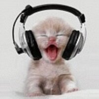 nicole tordjman (@nicoletordjman) 's Twitter Profile Photo
