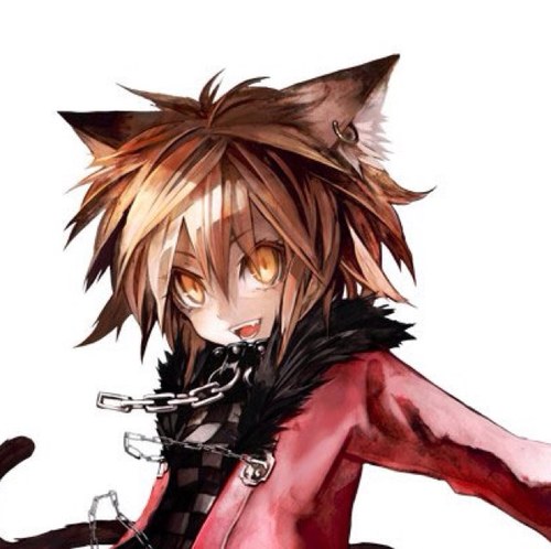 TrainyWielder's profile picture. Joey here! The master of faster and smarter! Yeoj here, don't listen to Joey, he's an idiot. J: BRUISES AND BITEMARKS BIIIIATCH!!!! Y: See? #Nekomara