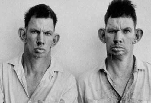 OfficialHMH's profile picture. I hope you cut your fingers on my broken heart...