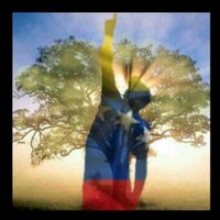 luis jorge (@luisjorge21com) 's Twitter Profile