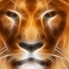 gordan13asd123's profile picture. 