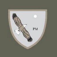 Platinum Minds (@platinummindss) Twitter profile photo