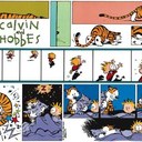 catie ross - @RossCatie - Twitter