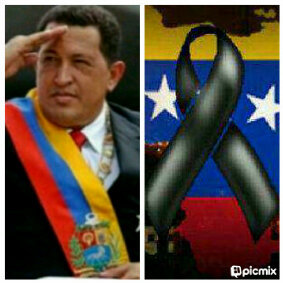 rosamy1972's profile picture. 