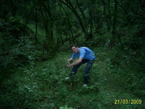 rafaelsuminski's profile picture. 