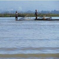 Sophie Letartre (@sophieletartre) 's Twitter Profile