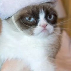 twittkott's profile picture. 