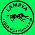LAMPEA jaya!! (@lampea_) Twitter profile photo