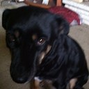 Phillip Taylor - @gutv_phil - Twitter